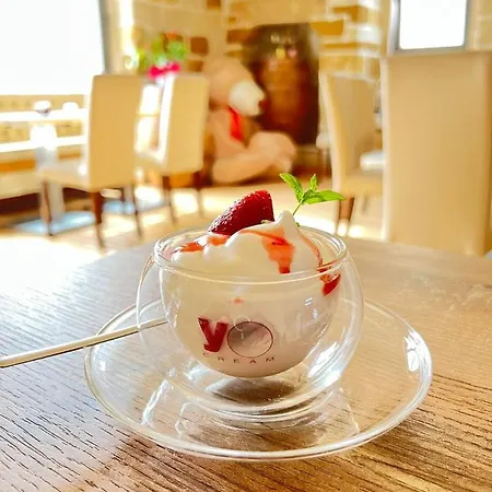 Standard 普尔萨诺